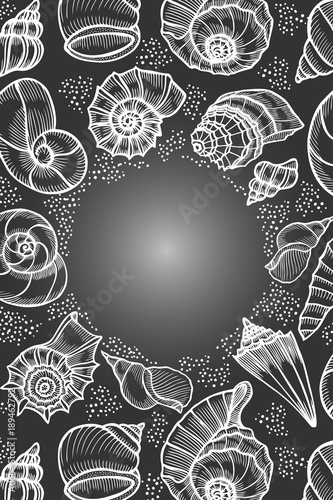 Seashells hand drawn vector photo