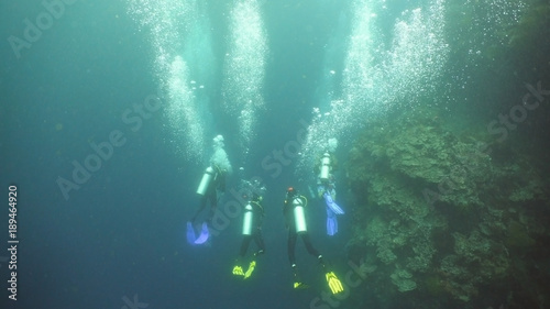 Scuba divers explores underwater coral reef and watching the fish.Scuba diver underwater in a tropical sea.Tropical fish on a coral reef. Diving and snorkeling in the tropical sea.