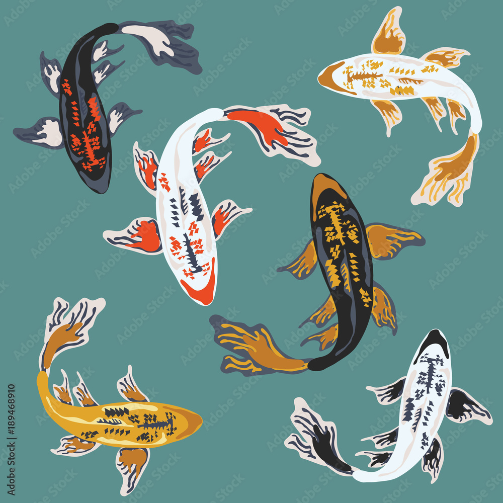 Premium Vector  Koi fish illustration japanese carp and colorful oriental  koi in asia set of chinese goldfish and traditional fishery isolated  background.
