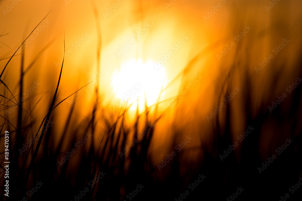 Blurred sunset background in the field with grass