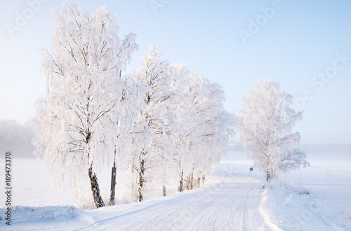 Country road in a cold winter landscape with snow and frost
