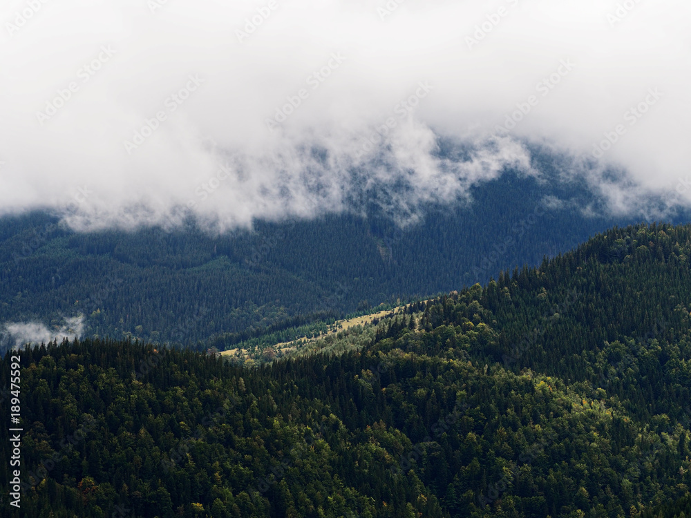 Obraz premium Carpatian mountains view from top