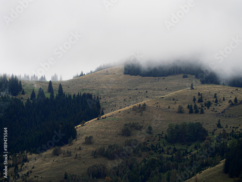 Carpatian mountains view from top photo