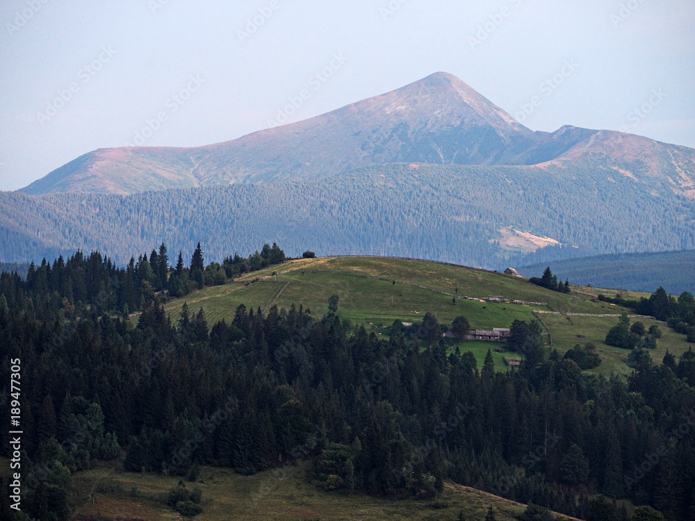 Fototapeta premium Carpatian mountains view from the top