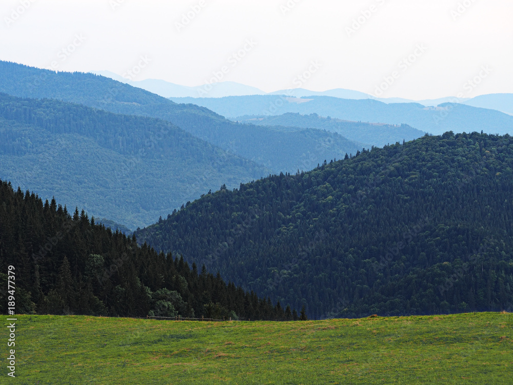 Obraz premium Carpatian mountains view from top