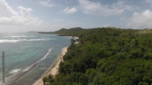 Aerial drone shot over beautiful tropical beach with close up around windy palm trees. Mangrove forest and martinique beach. Filmed with a phantom4 photo