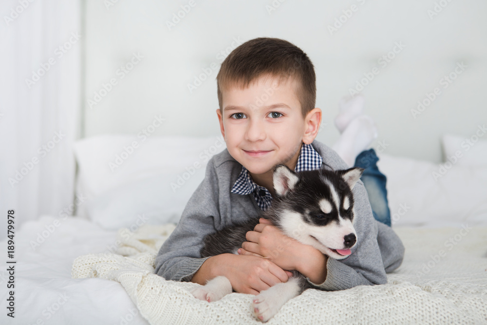 Happy Little boy lying on a bed and hugging with the puppy husky dog Happy Little boy lying on a bed and hugging with the puppy husky dog