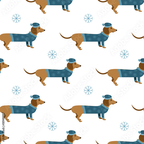 cartoon winter dachshund with hat and sweater vector seamless pattern