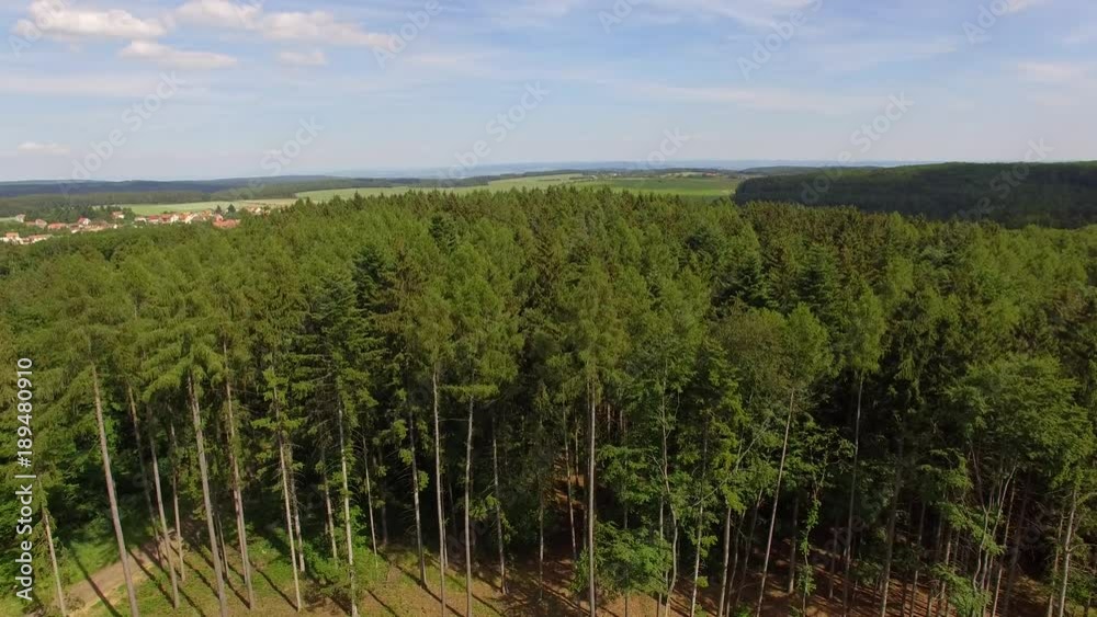 Aerial shot of beautiful mixed forest, summer landscape over day. Aerial shot of beautiful mixed forest, summer landscape over day.