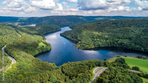 Bird s eye view of lake and forest taken by drone