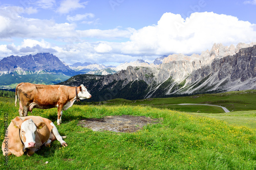 Alpine pasture in the dolomites