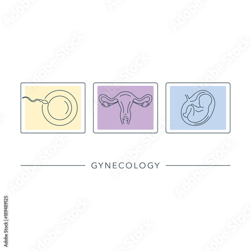 Gynecology medical vector line icons.