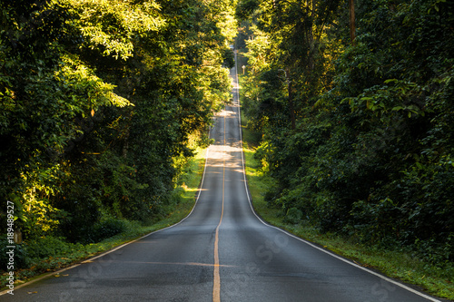 down and up hill road cut through tropical forest in Thailand