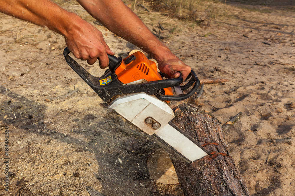 The man saws the log with a black-orange-white chain saw, against the background of sand. a man saws a log with a chainsaw.