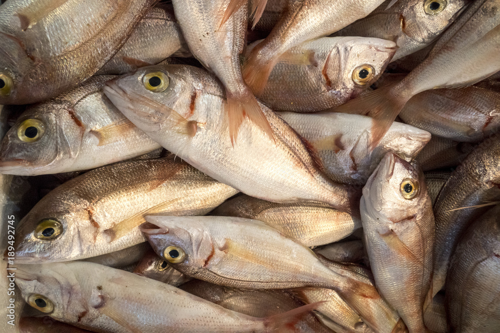 Fishes on ice in the fish market