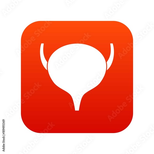 Bladder icon digital red
