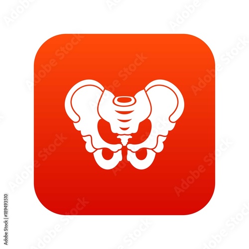 Pelvis icon digital red