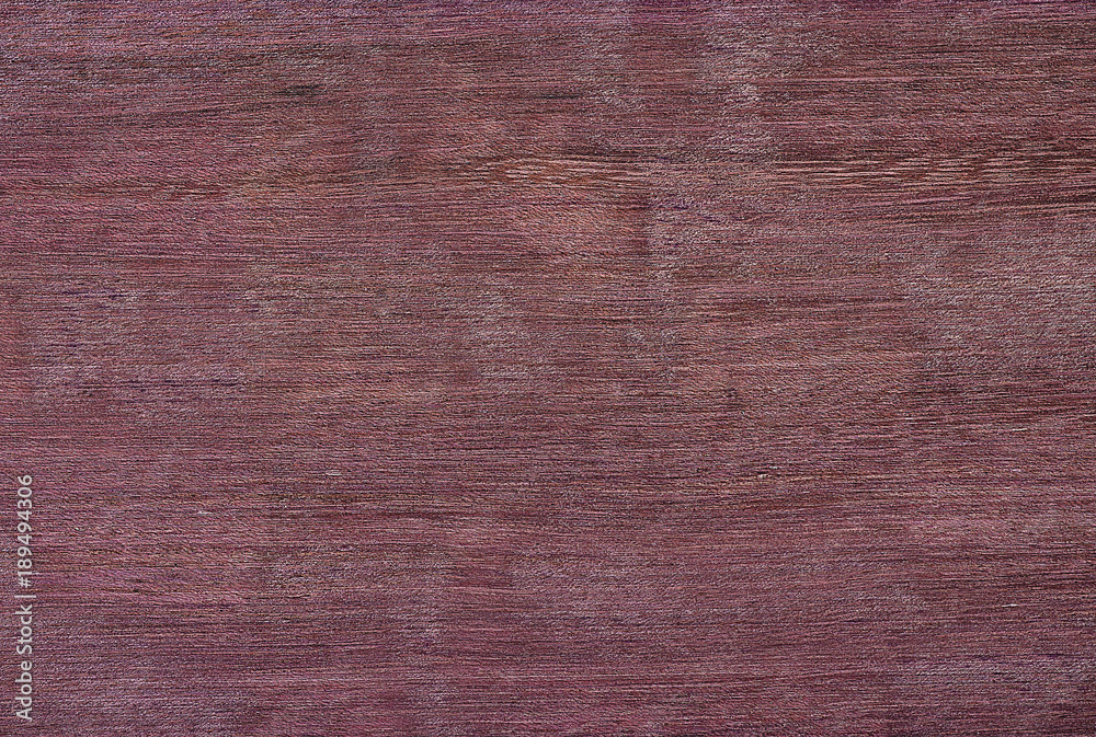 Fototapeta premium purple tree background texture