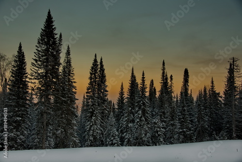 Fototapeta Naklejka Na Ścianę i Meble -  Russia. The South Of Western Siberia. Frosty dawn in Mountain Shoria.