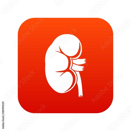 Kidney icon digital red