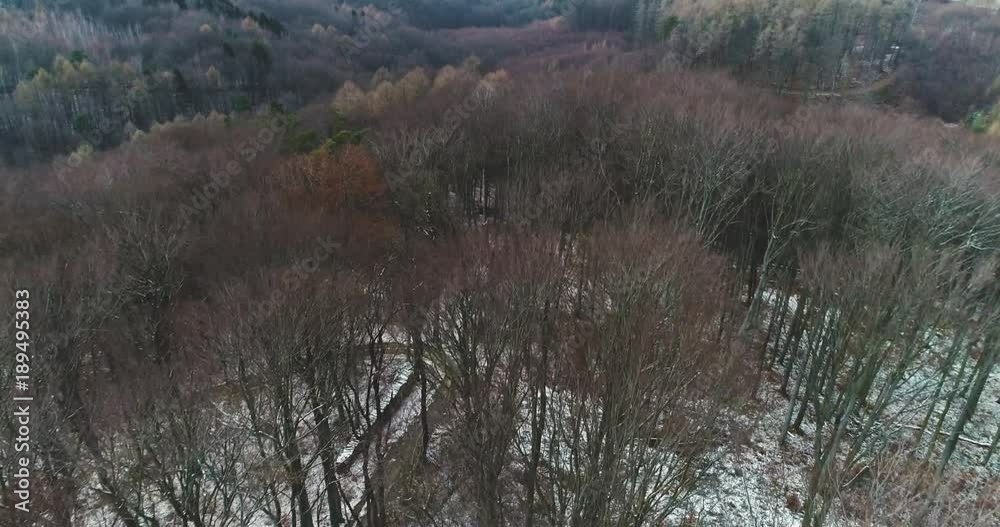 drone flight over beech forest in january with little snow drone flight over beech forest in january with little snow