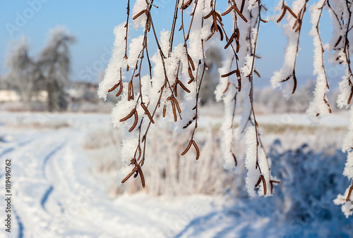 beautiful snowy winter landscape