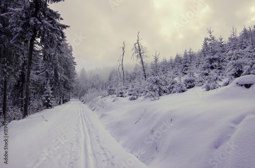 Winter path © houba101