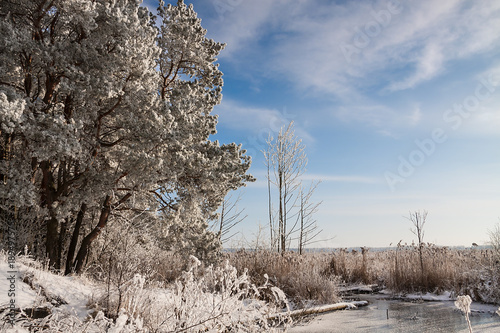 beautiful snowy winter landscape