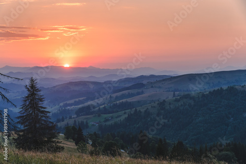 beautiful red sunset in the mountains a broken pine tree, concept to travel background, hiking