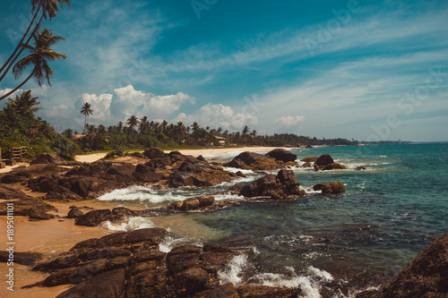 Coast Of Indian Ocean with stones and coconut palm trees. Tropical vacation, holiday background. Wild deserted beach. Paradise idyllic landscape. Travel concept. Sri Lanka eco tourism. Copy space