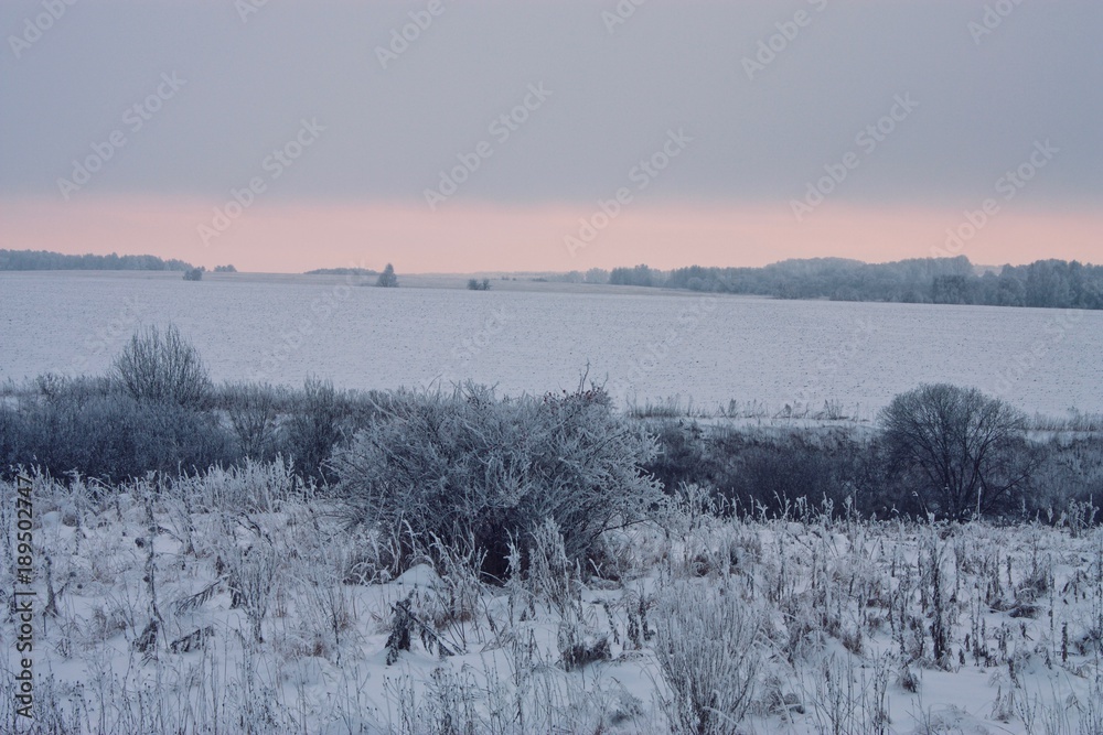 Snow-covered arable land in pink sunset 1 Snow-covered arable land in pink sunset 1