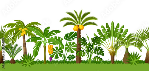 Seamless pattern with tropical palm trees. Exotic tropical plants Illustration of jungle nature