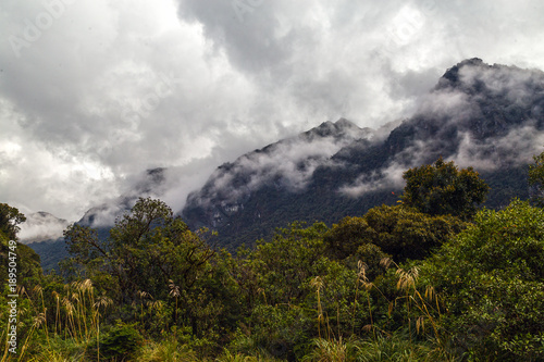 Cloudy forest in the foothills of the Ecuadorian eastern mountain range