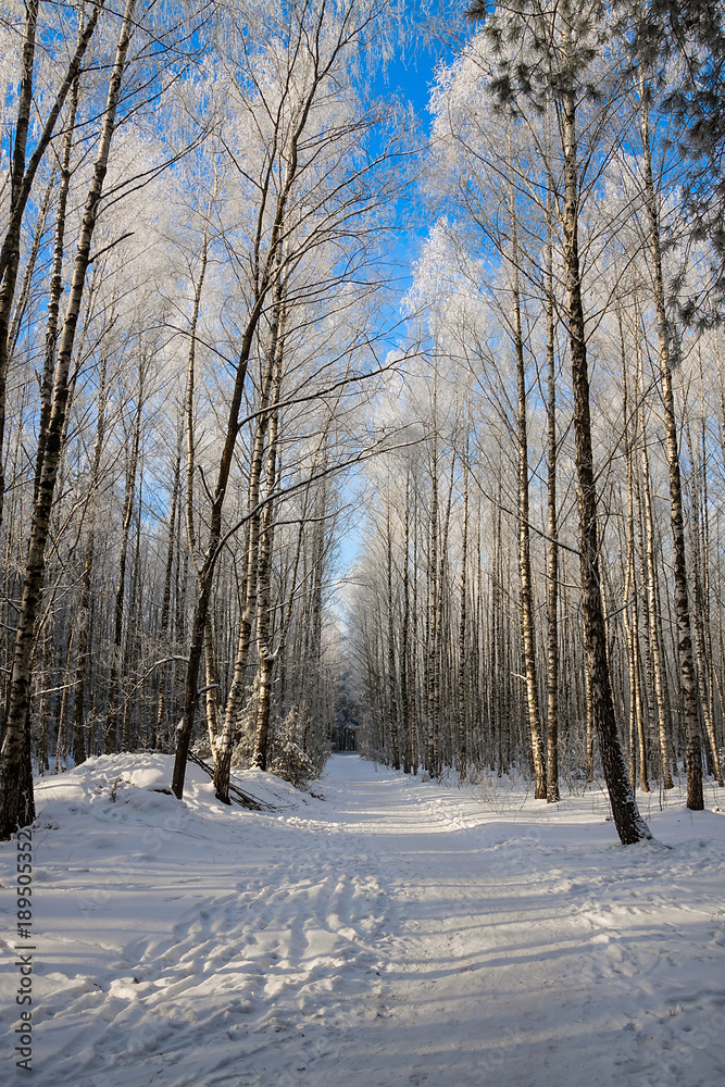 beautiful snowy winter landscape beautiful snowy winter landscape