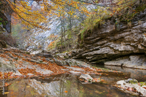 People overcomes a difficult climbing route. Small mountain river with rocks  covered with bright yellow  red  orange autumn leaves deep in the forest. Cliffs in Cheile Rametului  Romania