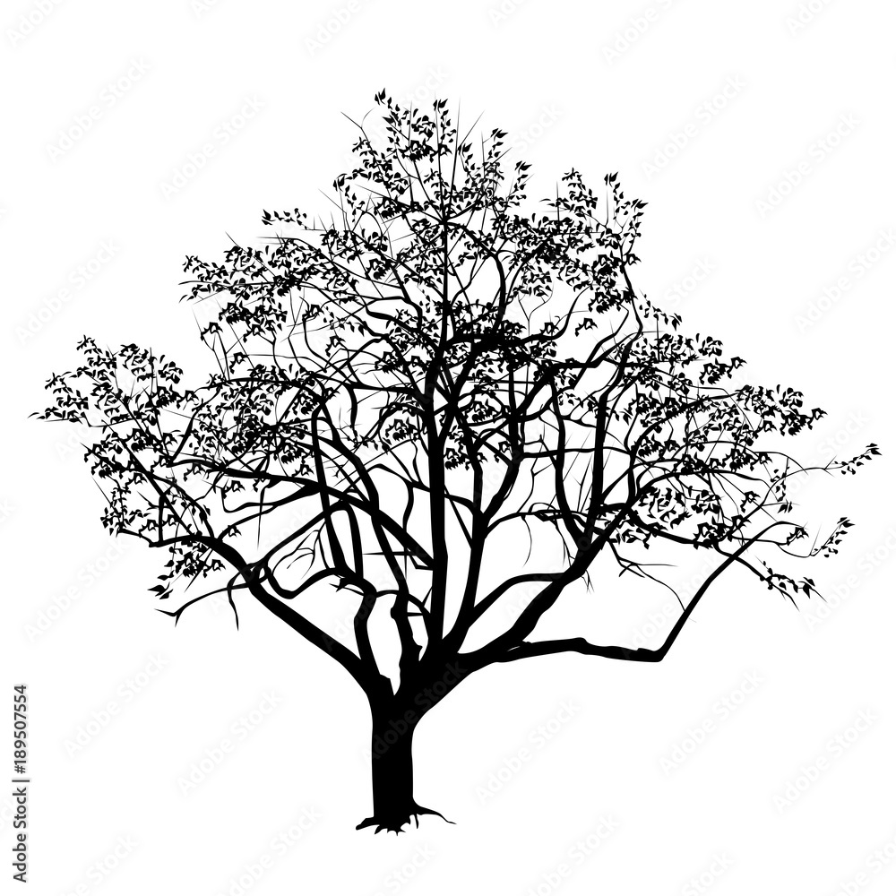 Tree silhouette with the flown leaves in the fall