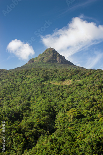 Sri Lanka. A view from below to Adam Peak. Mountain covered with greenery