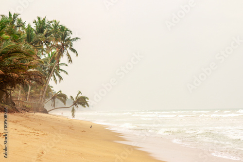Sri Lanka. Sandy beach, palm trees over water, lopsided fence, waves