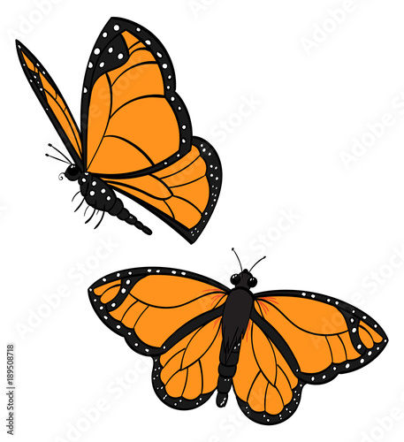 Two Flying Monarch Butterflies