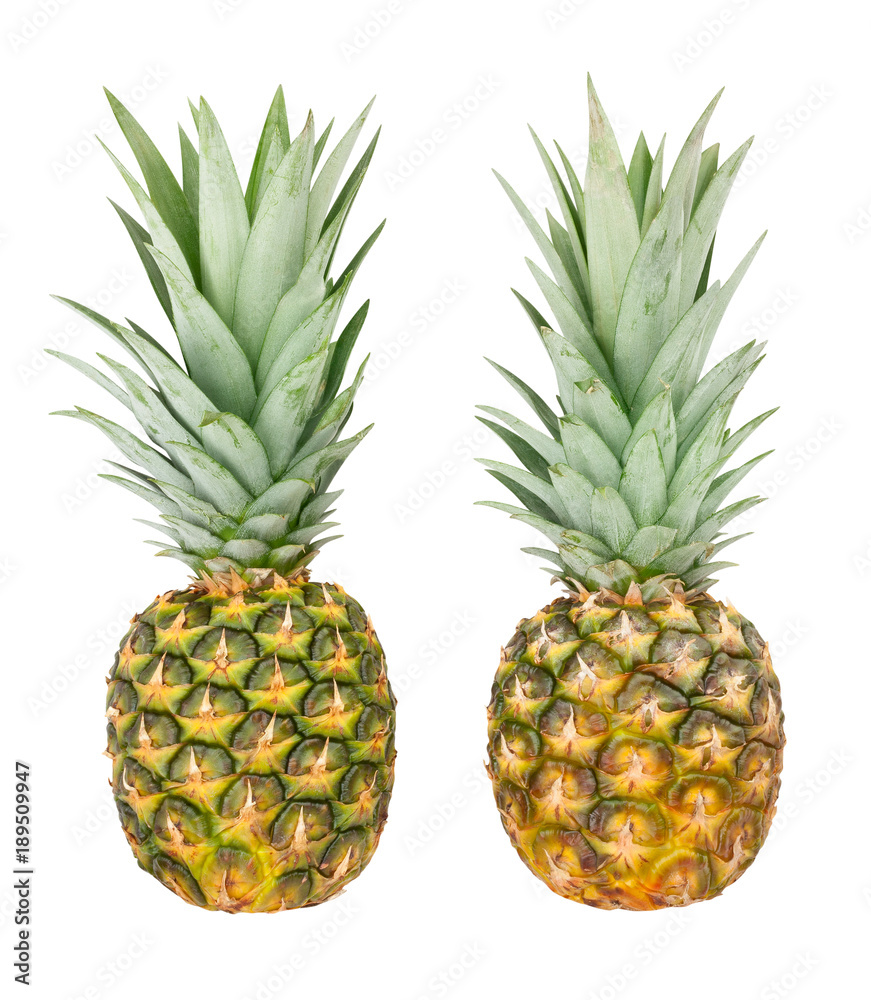 Fototapeta premium pineapple