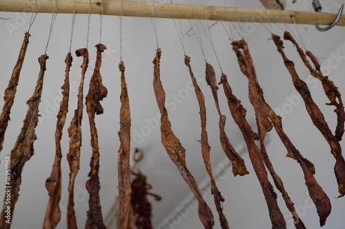 dried pork casings tipical in molise photo