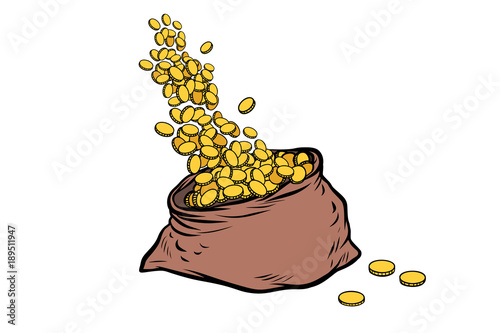 bag of gold coins