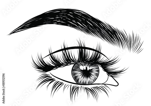 Hand-drawn woman's fresh luxurious eye with perfectly shaped eyebrows and full lashes. Idea for business visit card, typography vector. Perfect salon look.