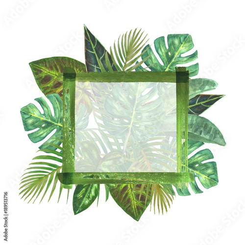 Tropical plants frame backg...