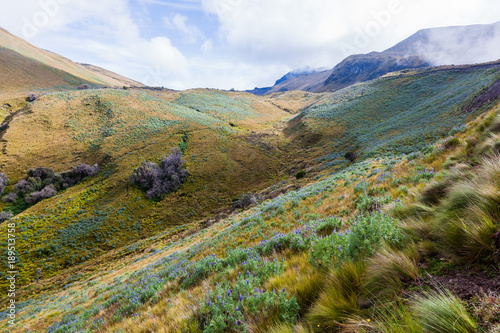 Andean landscape with its páramo hillsides