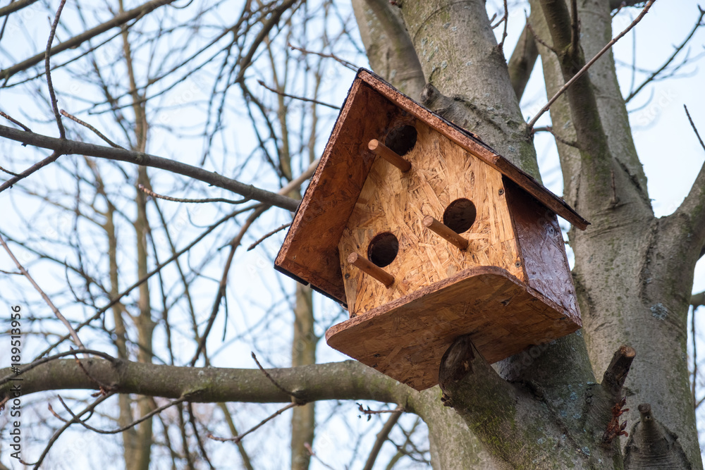 Wooden birdhouse on a tree