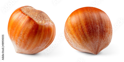 Hazelnut. Filbert isolated. Hazelnut on white background. Nut macro. With clipping path. Collection.