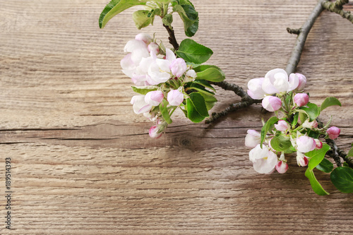 Blooming apple tree twigs on wooden background