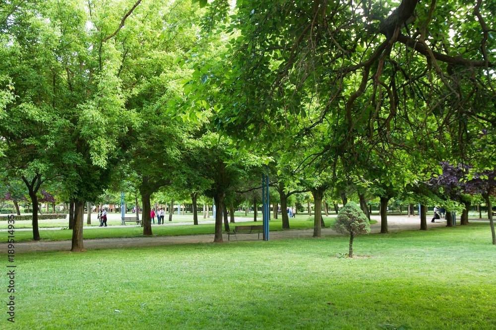 Parque Publico Urbano en Primavera con Gente Parque Publico Urbano en Primavera con Gente