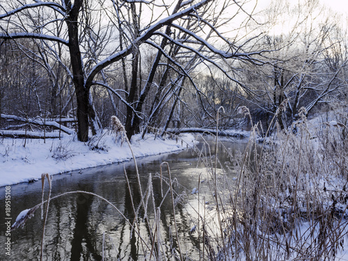 The river in winter
